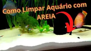 Limpando Aqu&aacute;rio com AREIA ou Cascalho Fino