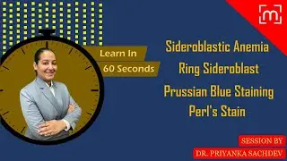 1 minute learning: Sideroblastic Anemia | Ring Sideroblast | Prussian Blue Staining | Perl's Stain