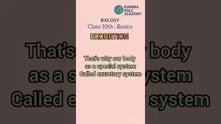 BASIC CONCEPT : 01  EXCRETION