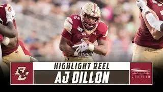 Boston College RB AJ Dillon Highlight Reel - 2019 Season | Stadium