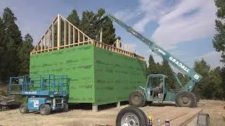 I put a TREE in my HOUSE!! [off grid cabin build] EP.13