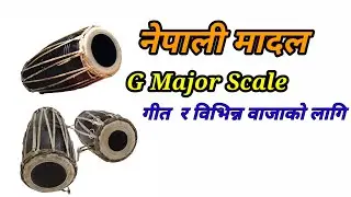 Madal Track loops G Major Scale || Madal  Beat 6/8 || G scale Madal ||