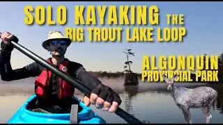 Solo Kayak Camping on Algonquin Park's Big Trout Lake Loop, May 2024
