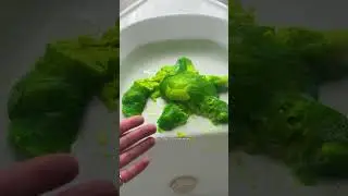 WHAT is this??? giant jelly turtle