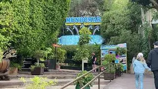 Mundomar | Animal park in Benidorm | VIP tour | Alicante | Spain | 2024 jan