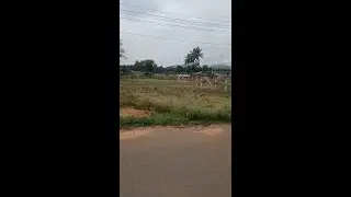 21 Cents Farm Land for sale in Thondamuthur area | Siruvani Main Road| Contact -9840673369
