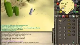 Runescape 2007 - Tronse5 - Orange Salamander Hunting Guide
