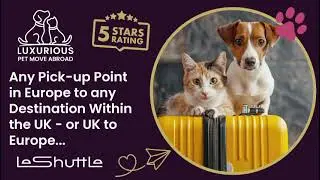 Pet Transport Europe UK & UK Europe.