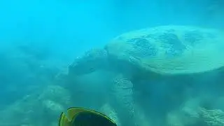 Marsa Alam November 2023