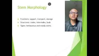 Agr122 Plant Science Presentation/ Muhammad Daniel Bin Hasri