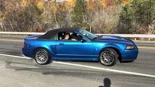 03 Cobra melting some 335 R888 tires #cobra #svt #svtcobra #03cobra #supercharged #fordmustang