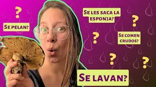 HONGOS DE PINO: cómo identificarlos, cosecharlos y prepararlos para cocinar🍄‍🟫🍛