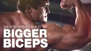 3 Best Exercises To Build Bigger Biceps with Calum Von Moger