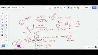 Conversion -  Alkyl and Aryl Halide Alcohol  /Chemistry Class 12