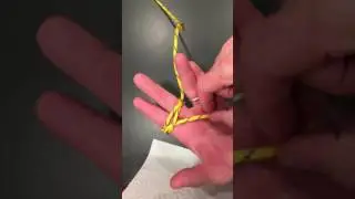 Woggle Video