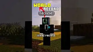 mining a whole chunk MINECRAFT WORLD RECORD