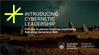 Introducing Cybernetic Leadership - A full day in-person learning experience