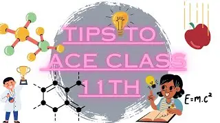 HOW TO ACE CLASS 11TH??????????????