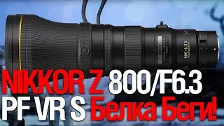 NIKON Z 800/6.3 VR S | Гроза Белок!  (смотрим разное)