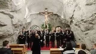 First Sunday of Advent– Ad te levavi