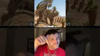 Принимаете ли вы Иисуса? 🙏