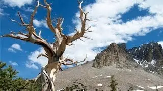 Solitude at Great Basin National Park