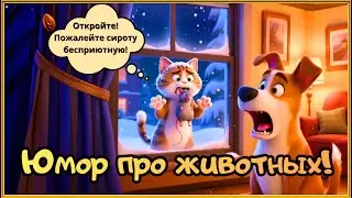 Животные приколы с озвучкой! №306 ❄ Animal jokes with voice acting!