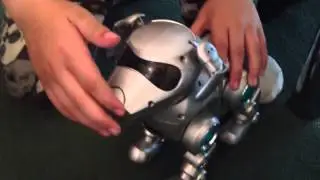 Sleeping Robotic Dog !!!