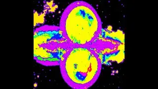 Unified Plasma Theory Revelations