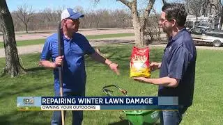 OYO - Repairing Winter Lawn Damage