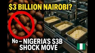 Nigeria Bans Raw Shea Exports &ndash; Can It Generate $3 Billion by 2027? 🇳🇬💰