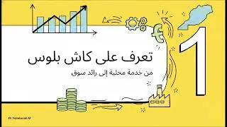 إزالة الغموض عن الاكتتاب العام  قصة كاش بلوس - Cash Plus