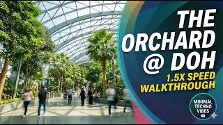 HAMAD International Airport: The Orchard Walkabout