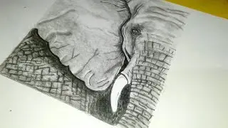 Easy Elephant drawing🐘