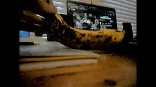 Trying spotty banana (Taste Test)
