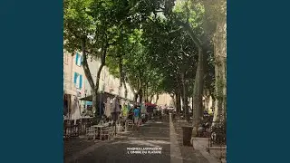 L&acute;ombre du platane