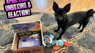 APRIL 2021 BARKBOX UNBOXING & DOGGY REACTION!