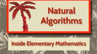 Inside Elementary Mathematics: Natural Algorithms