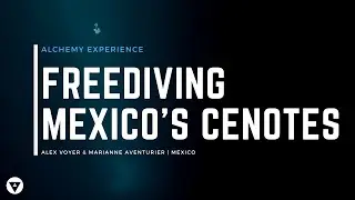 Freediving Mexico's Sacred Cenotes