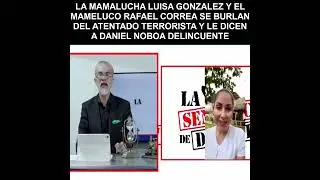 LUISA GONZALEZ Y RAFAEL CORREA SE BURLAN DL ATENTADO TERRORISTA Y L DICEN A DANIEL NOBOA DELINCUENTE