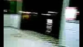 sputo