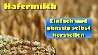 Gesunde Alternative zu Kuhmilch &ndash; Hafermilch einfach und g&uuml;nstig selbst herstellen DIY