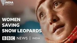 The Himalayan women tracking India’s snow leopards | BBC News India