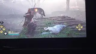 My Strategy for killing the Corpse Feeders one at a time in Assassin's Creed Valhalla.