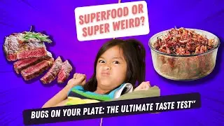 Superfood or super weird? Insects as protein powerhouse