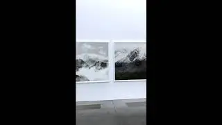 RENATE ALLER @ PARRISH ART MUSEUM - solo exhibition Spring / Summer 2019