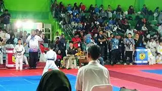 Festival kata #mei2025