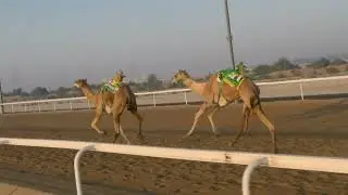 الشوط5(فال)للسيد: راشد محمد ثاني المزروعي  توقيت 09:17