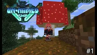 A New Adventure (UNSMP 1)