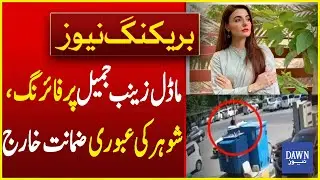 Big News Update on Firing Incident on Model Zainab Jameel | Breaking News | Dawn News